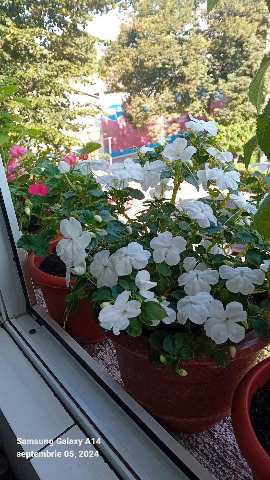 Foto 3